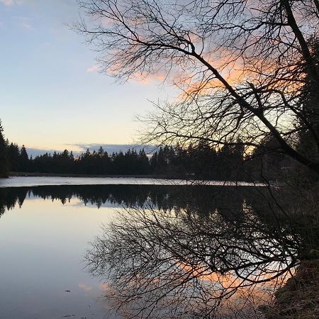 Waldhaus Hahnenklee Leilighet Goslar Eksteriør bilde